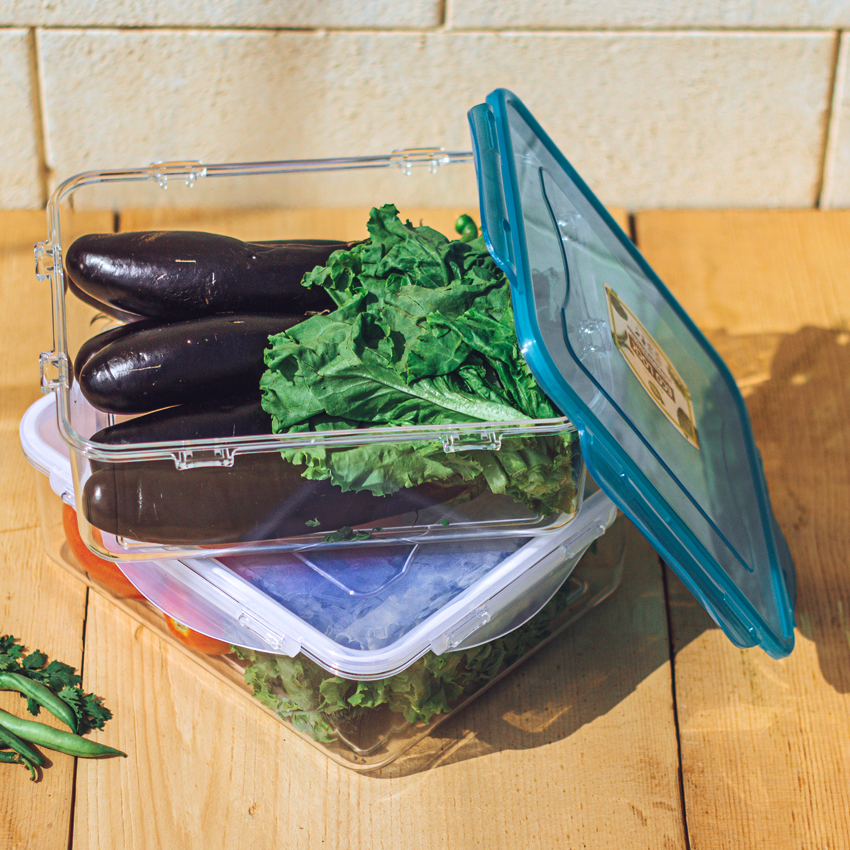 Eco Lock Food Keeper - Medium With Food