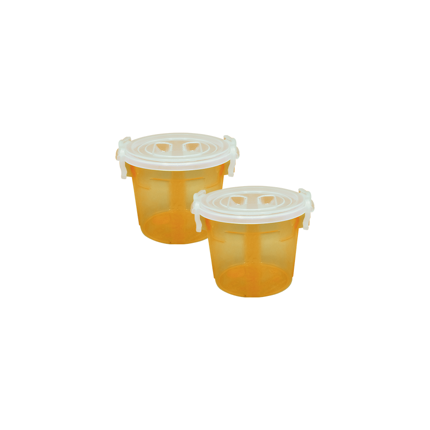 Handy Food Storage Container 2 pc set orange - Small 6 Litre