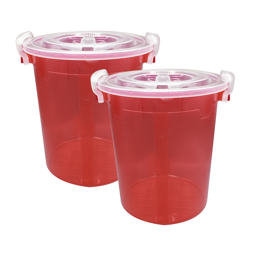 Handy Food Storage Container 2 pc set Red - XL 24 Litre