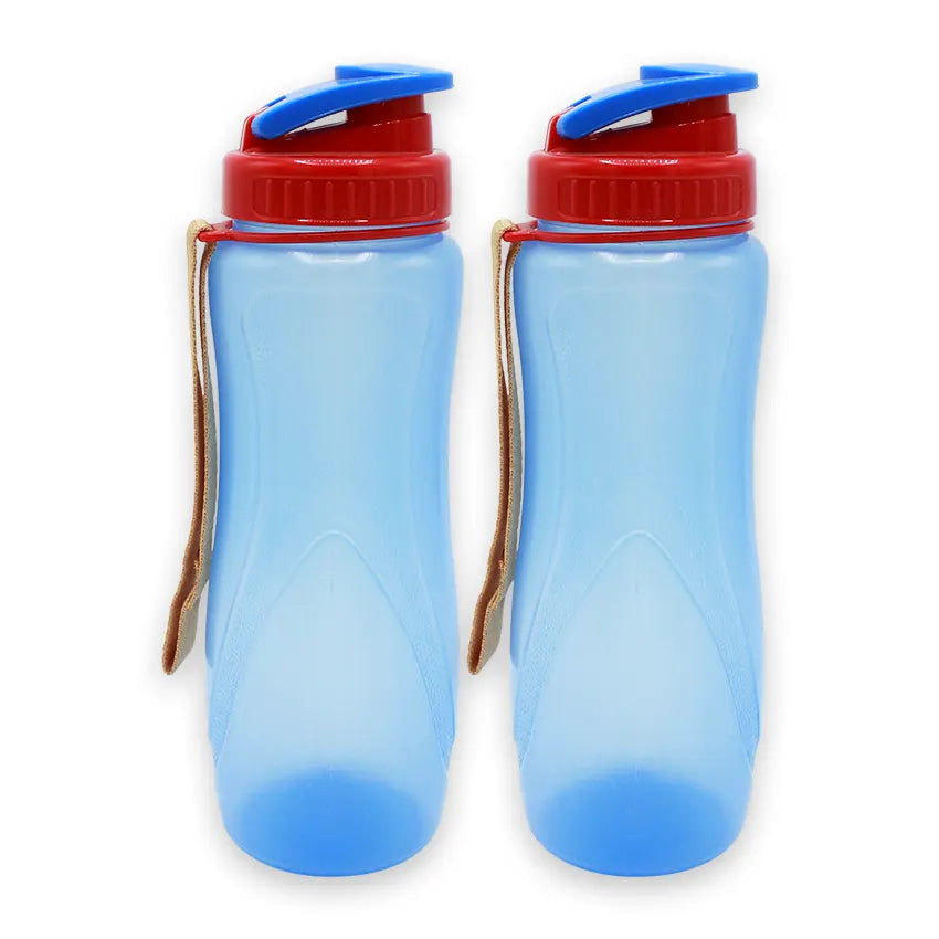 Spring Water Bottle 2 pc set - S 650ml