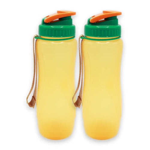 Spring Water Bottle 2 pcs set Medium in orange 850ml Spring Water Bottle 2 pcs set Medium in orange 850ml