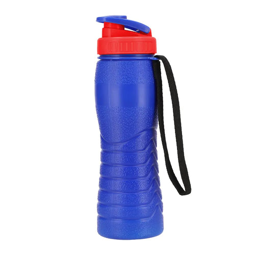 Spring Thermic Water Bottle in Dark Blue 500ml