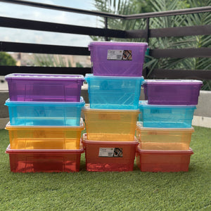 Clear Lock Storage Box Small Medium Large