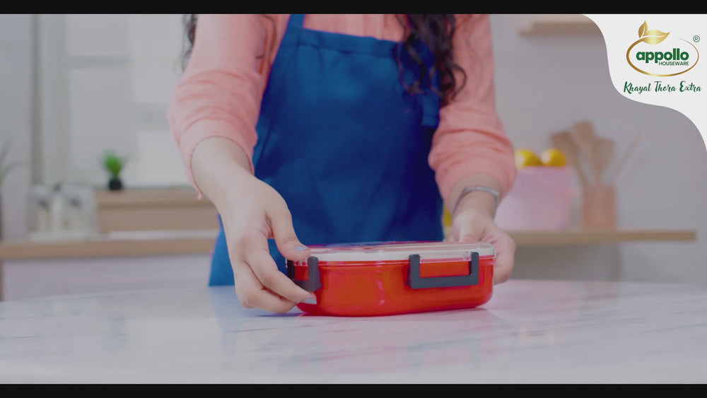 Magnet & Bento Lunch Box