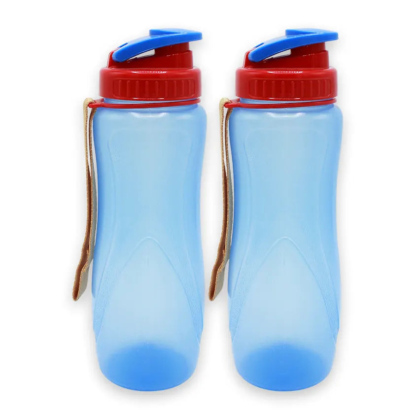 Spring Water Bottle 2 pcs set Small Dark Blue 650ml