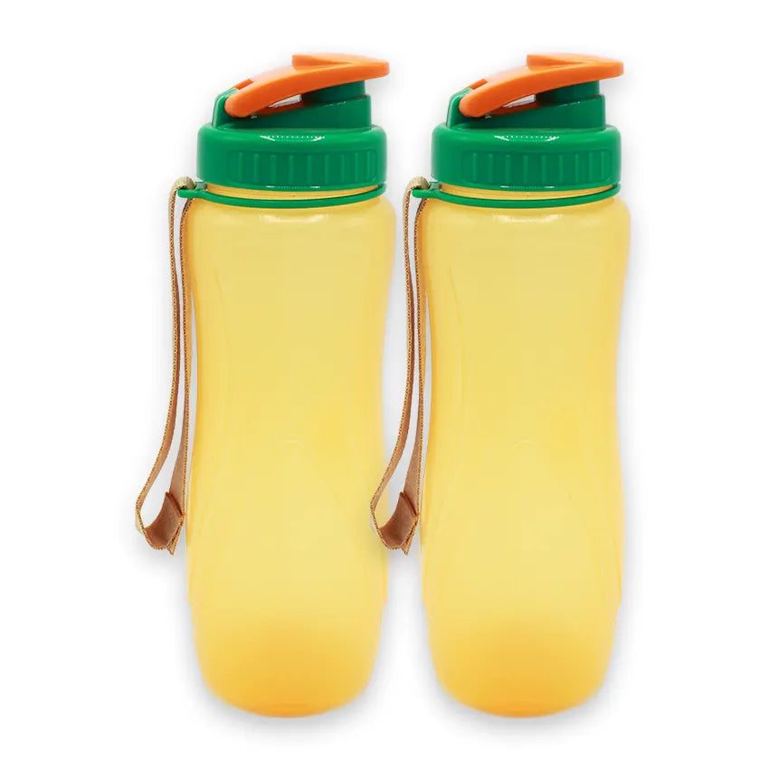 Spring Water Bottle 2 pcs set Medium in orange 850ml